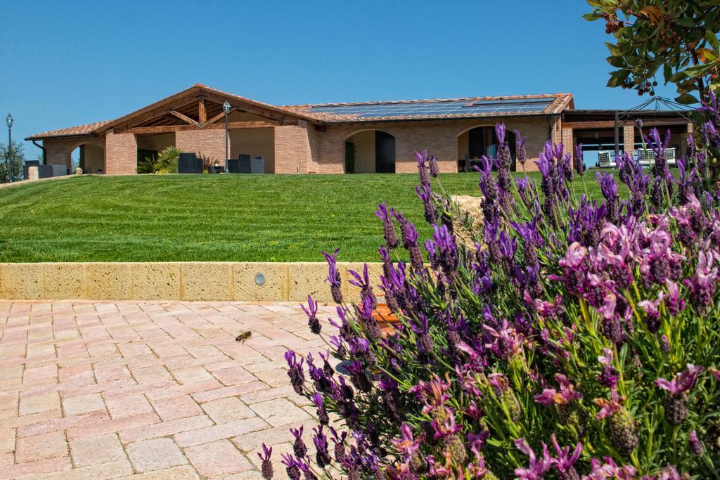 Agriturismo Deni Apartment Cenaia ภายนอก รูปภาพ