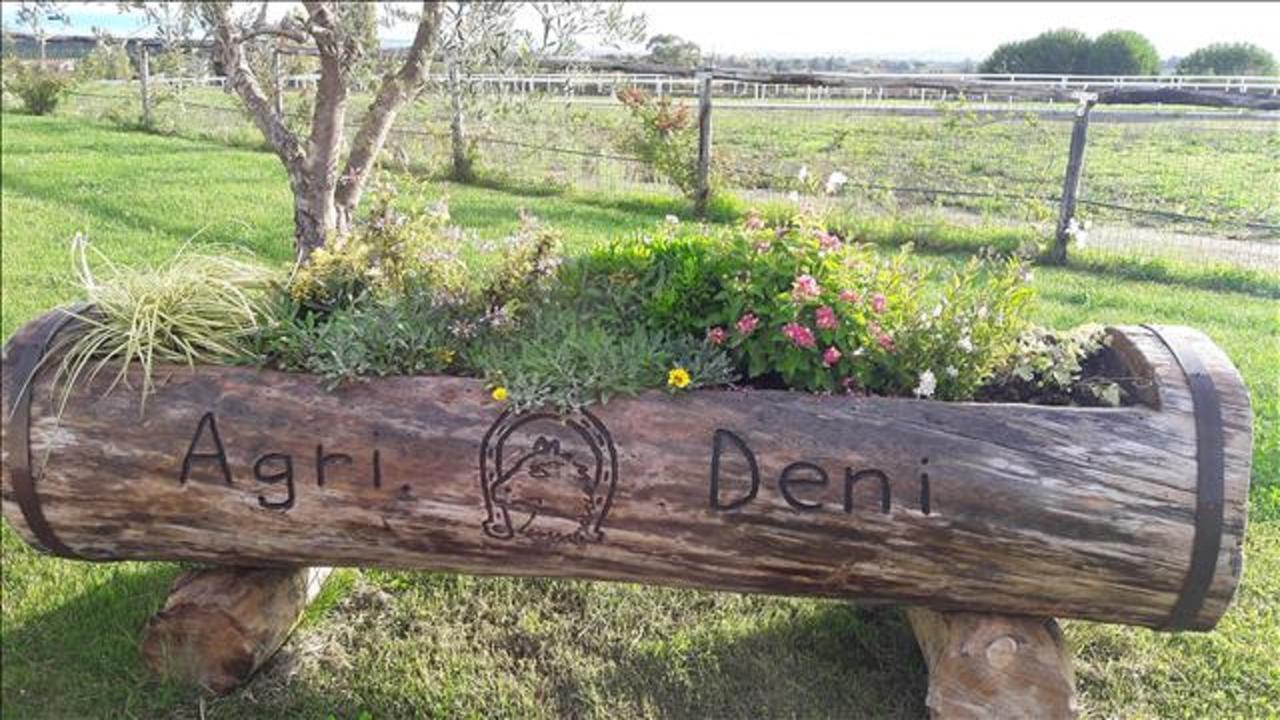 Agriturismo Deni Apartment Cenaia ภายนอก รูปภาพ